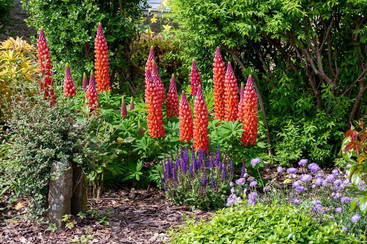 Home Farm B&B - Sunflower Room Forfar Bagian luar foto