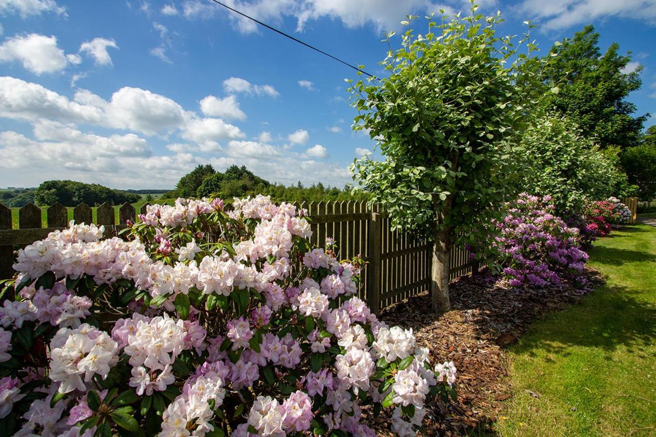 Home Farm B&B - Sunflower Room Forfar Bagian luar foto